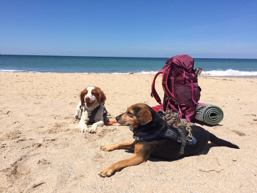 Ropin et Missak à la plage
