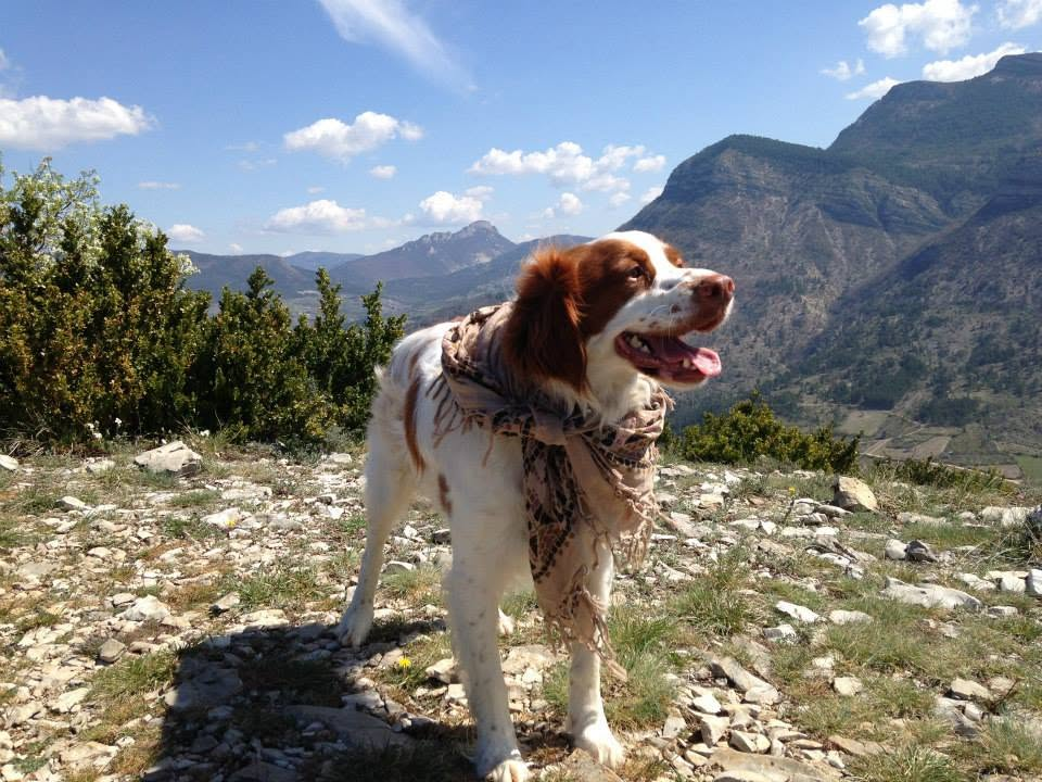 Ropin avec un foulard dans la montagne